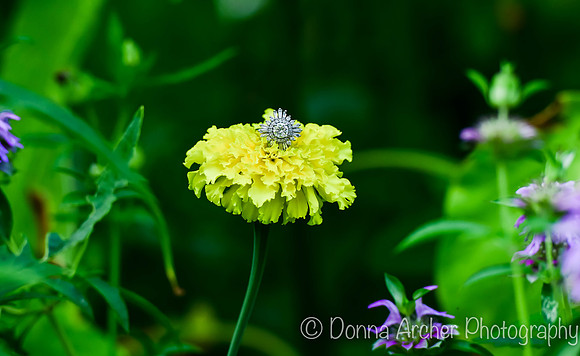 DSC_8477-2